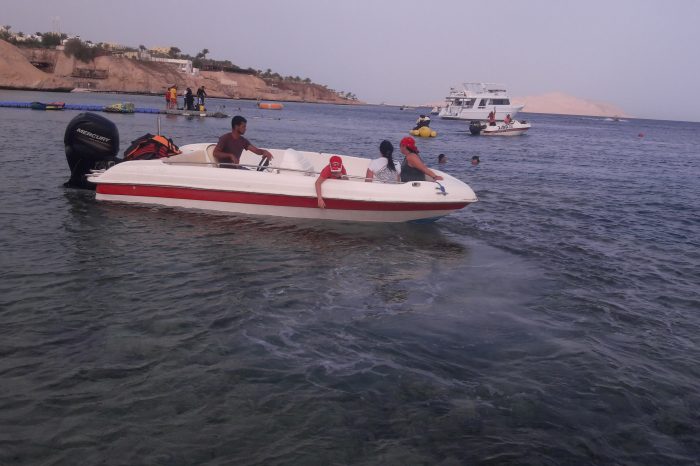 Fishing in Red Sea