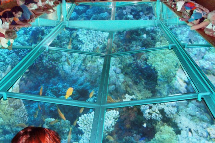 escursione Barca di vetro sharm el sheikh
