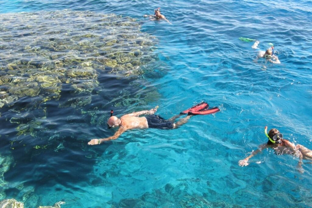 Swimming with Dolphins in Sharm El Sheikh — photo 2