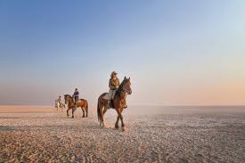 Horseback Riding Safari