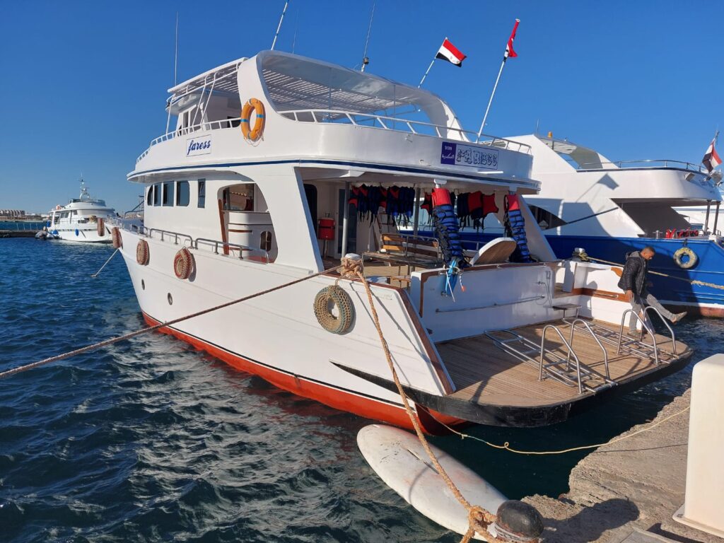 Private Boat Trip in the Red Sea — photo 2