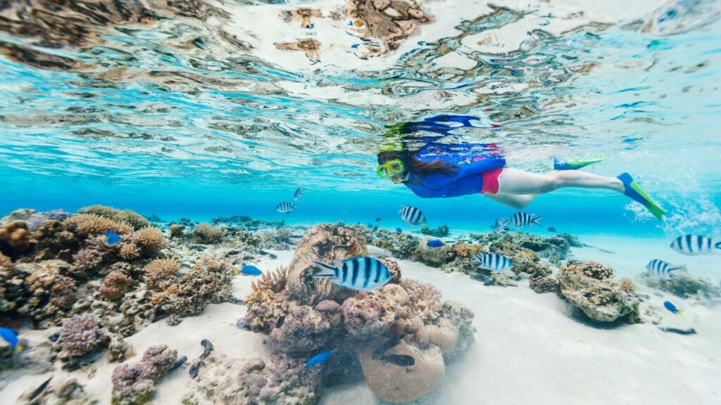 Ras Mohammed National Park by Boat, Red Sea — photo 1